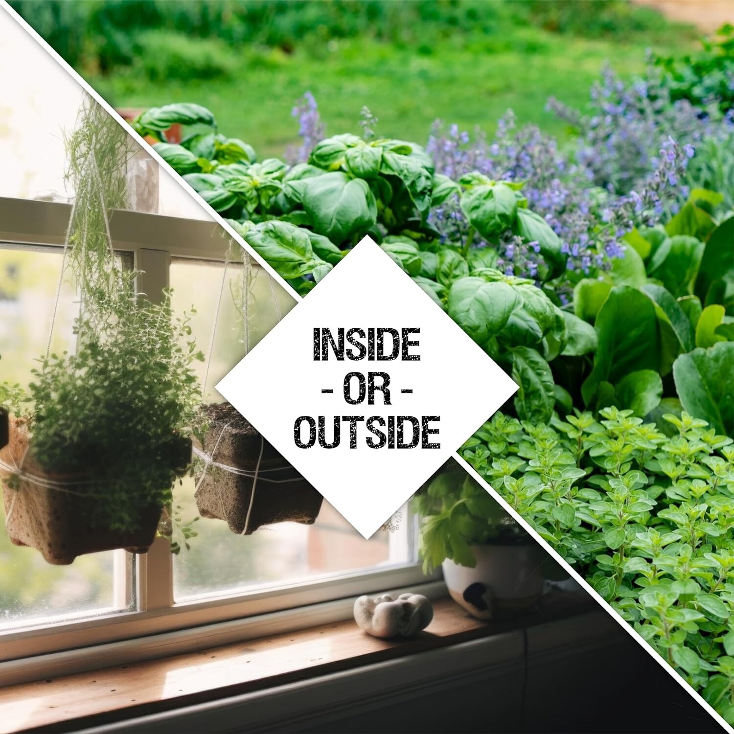 Herb Seeds Variety Pack Culinary Herb Collection (12 Individual Herbs for P