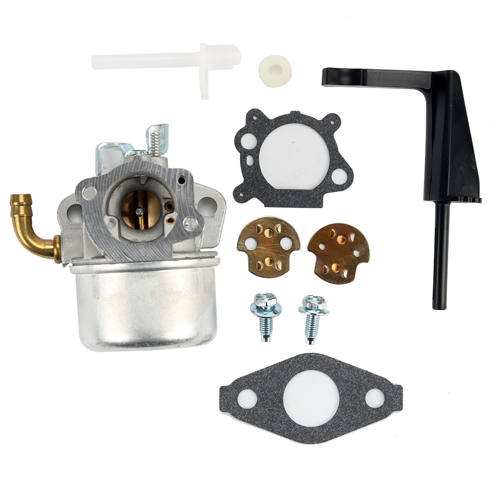 Carburetor Carb For B-S 798653 591299 215369 697354 790290 698860 696981 791077
