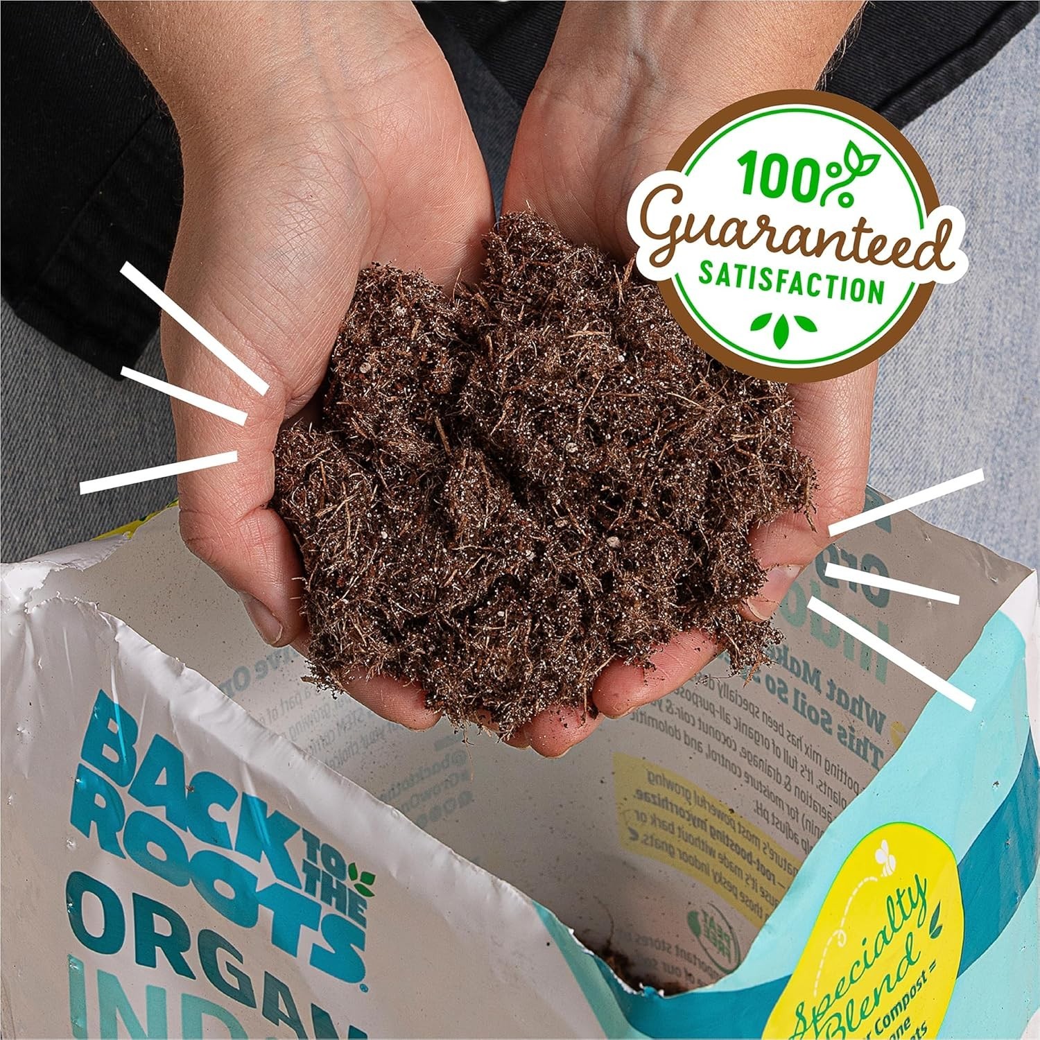Back to the Roots 100% Organic Indoor Potting Mix (6 Quart) Houseplant Soil, USA
