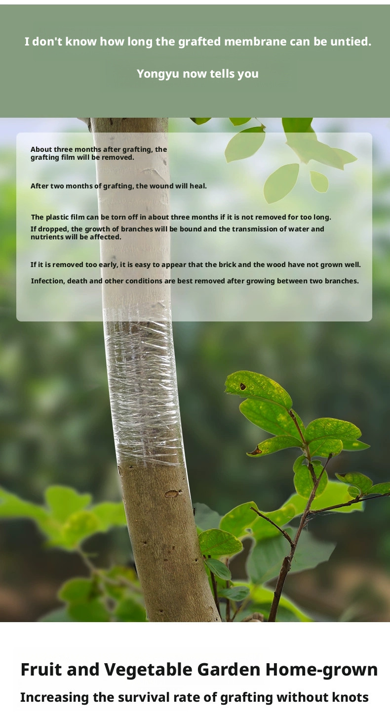 2cm Biodegradable Grafting Tape Plant Bind Belt Gardening Graft Film Eco-Friendl
