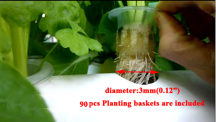 90 Holes Hydroponic Site Grow Kit Ebb and Flow Deep Water Culture Garden System