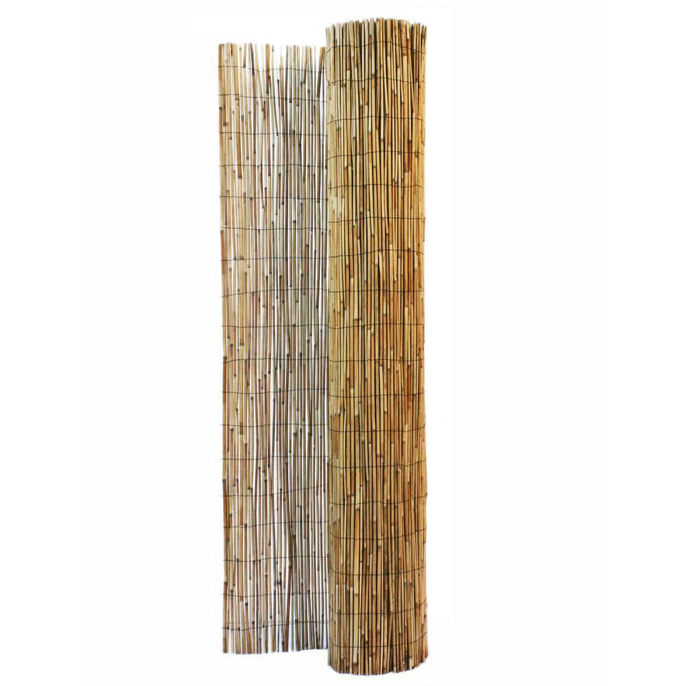 6 ft. H x 16 ft. L Natural Jumbo Reed Bamboo Fencing