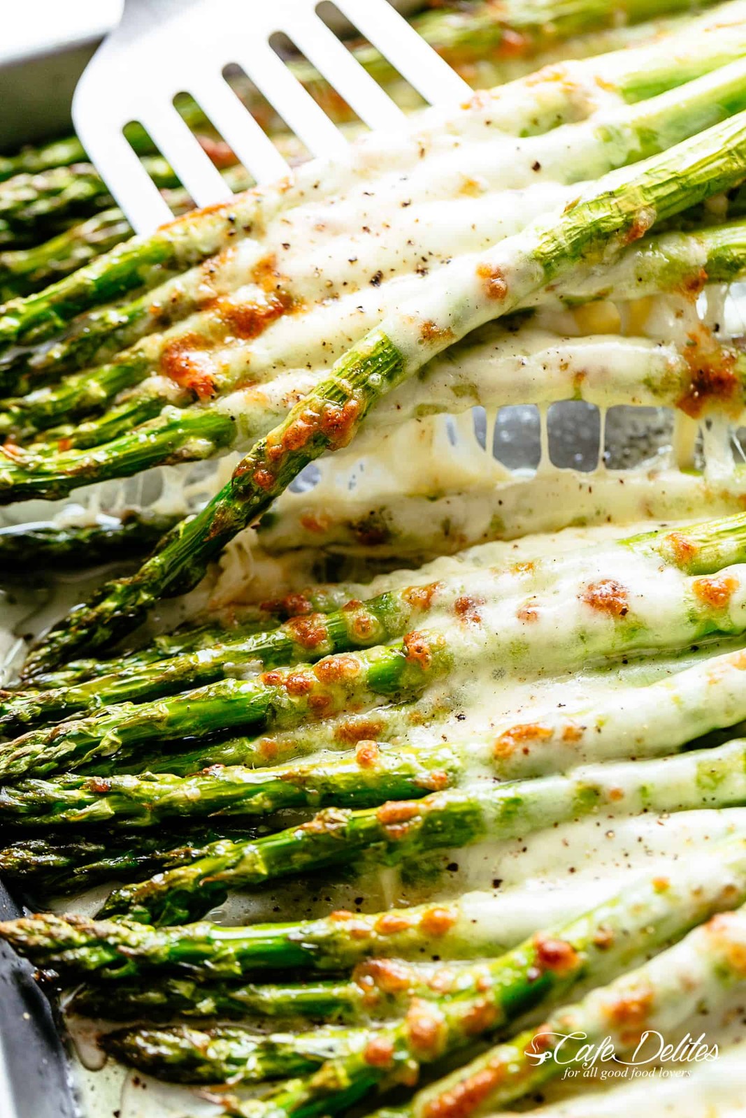 Mary Washington Asparagus Seeds | Perennial Broccoli Root Vegetable Seed 2024