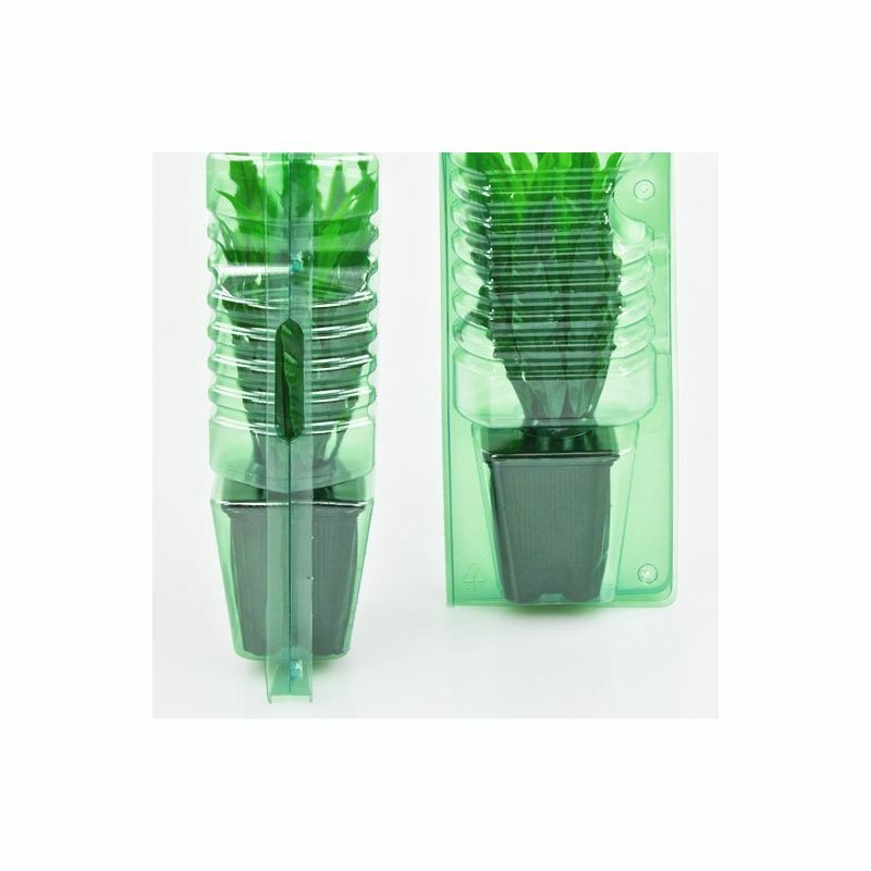 Clone Shipper – Multiple Sizes – Ship Plant Cuttings – 100Hr LEDs Optional