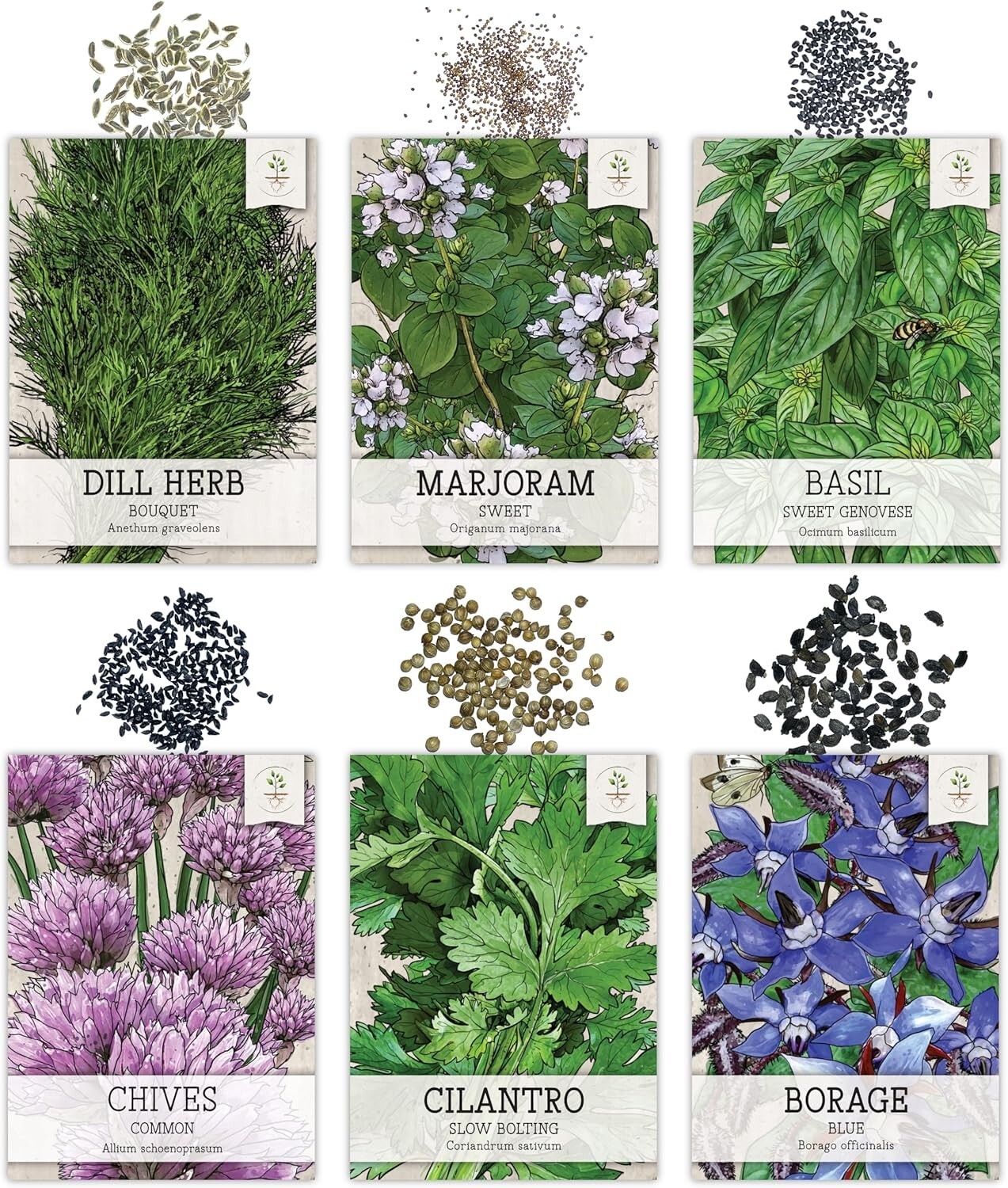 Herb Seeds Variety Pack Culinary Herb Collection (12 Individual Herbs for P
