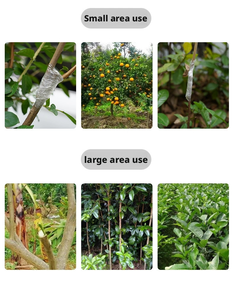 2cm Biodegradable Grafting Tape Plant Bind Belt Gardening Graft Film Eco-Friendl