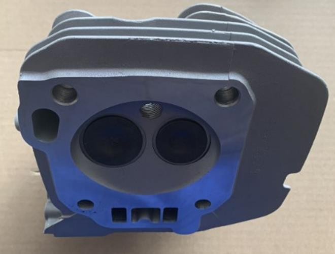 Cylinder Head Kit For Ford FG11050PBE 457cc Dual Fuel Generator DG1