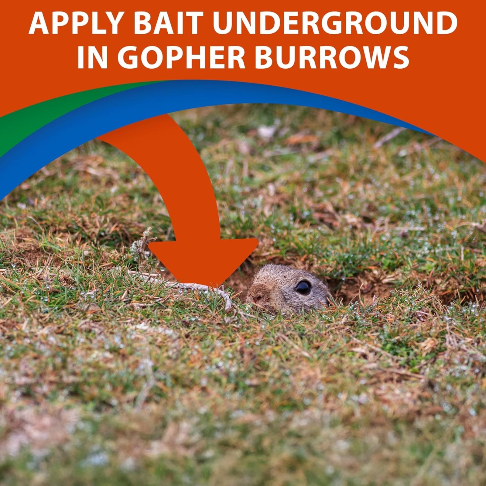 Monterey Go-DIE Gopher Animal Bait Pesticide, 1 Pound