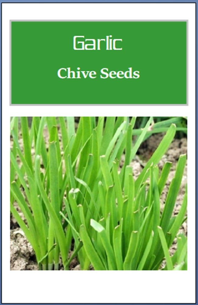 Garlic Chives Seeds | NON-GMO | Heirloom | Fresh Garden Seeds