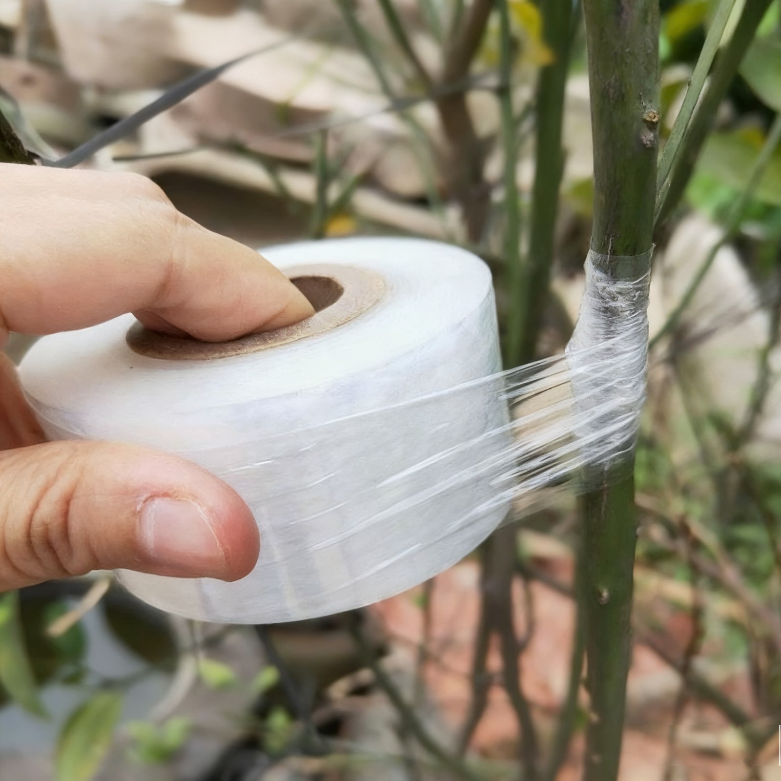2cm Biodegradable Grafting Tape Plant Bind Belt Gardening Graft Film Eco-Friendl