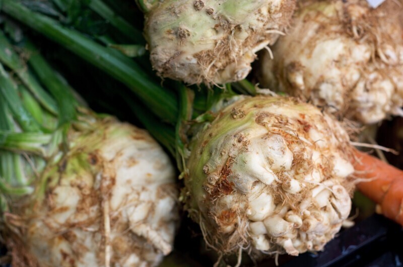 750 Celeriac Seeds – Giant Prague Non-GMO USA Seller