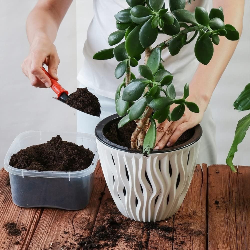 Back to the Roots 100% Organic Indoor Potting Mix (6 Quart) Houseplant Soil, USA