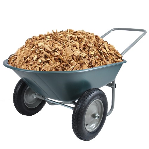 Wheel Barrow Two Wheeled Trolley ABS for Garden 15 inch Pneumatic Wheel Green