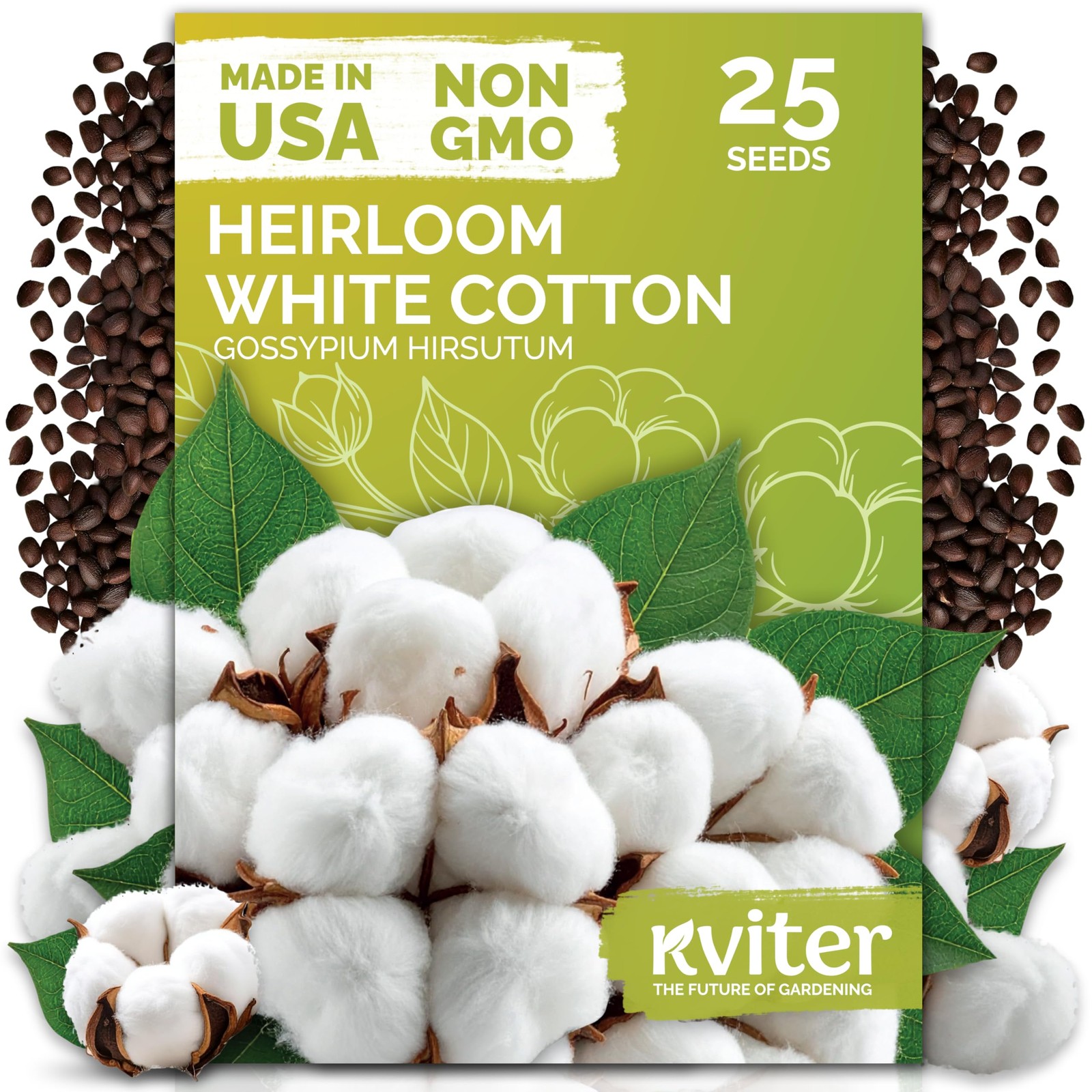 KVITER 25 White Cotton Seeds for Planting (Gossypium hirsutum) – Real