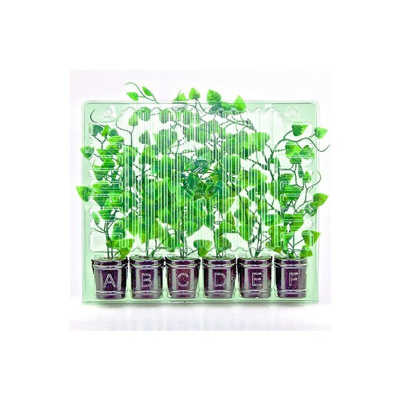 Clone Shipper – Multiple Sizes – Ship Plant Cuttings – 100Hr LEDs Optional