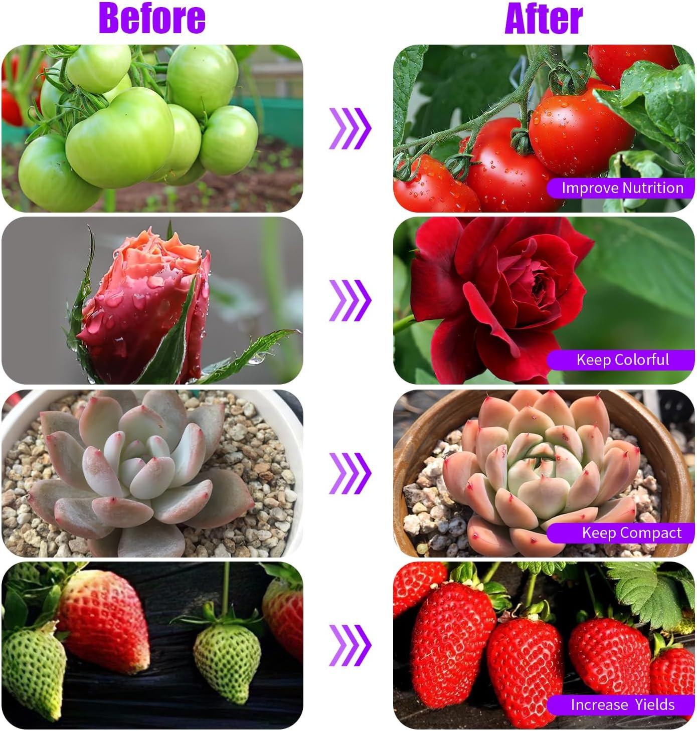 Grow Lights Upgrade 168 Leds Clip Plant Lights for Indoor Plants, Full Spectrum