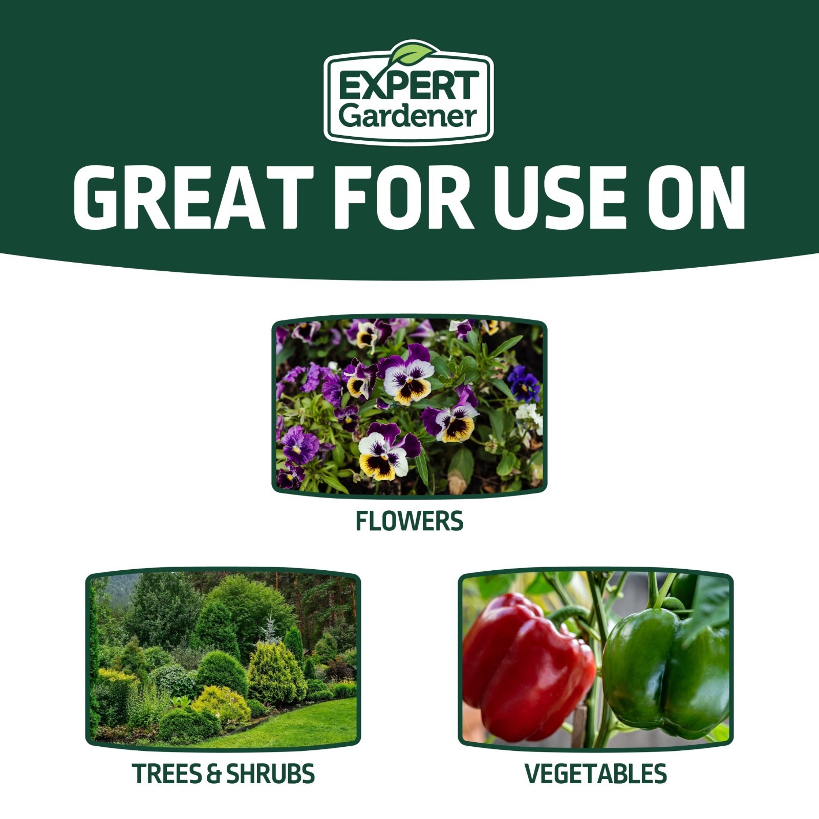 Expert Gardener All Purpose Plant Fertilizer 10-10-10 40 lb Bags 80lb (2 Pack)