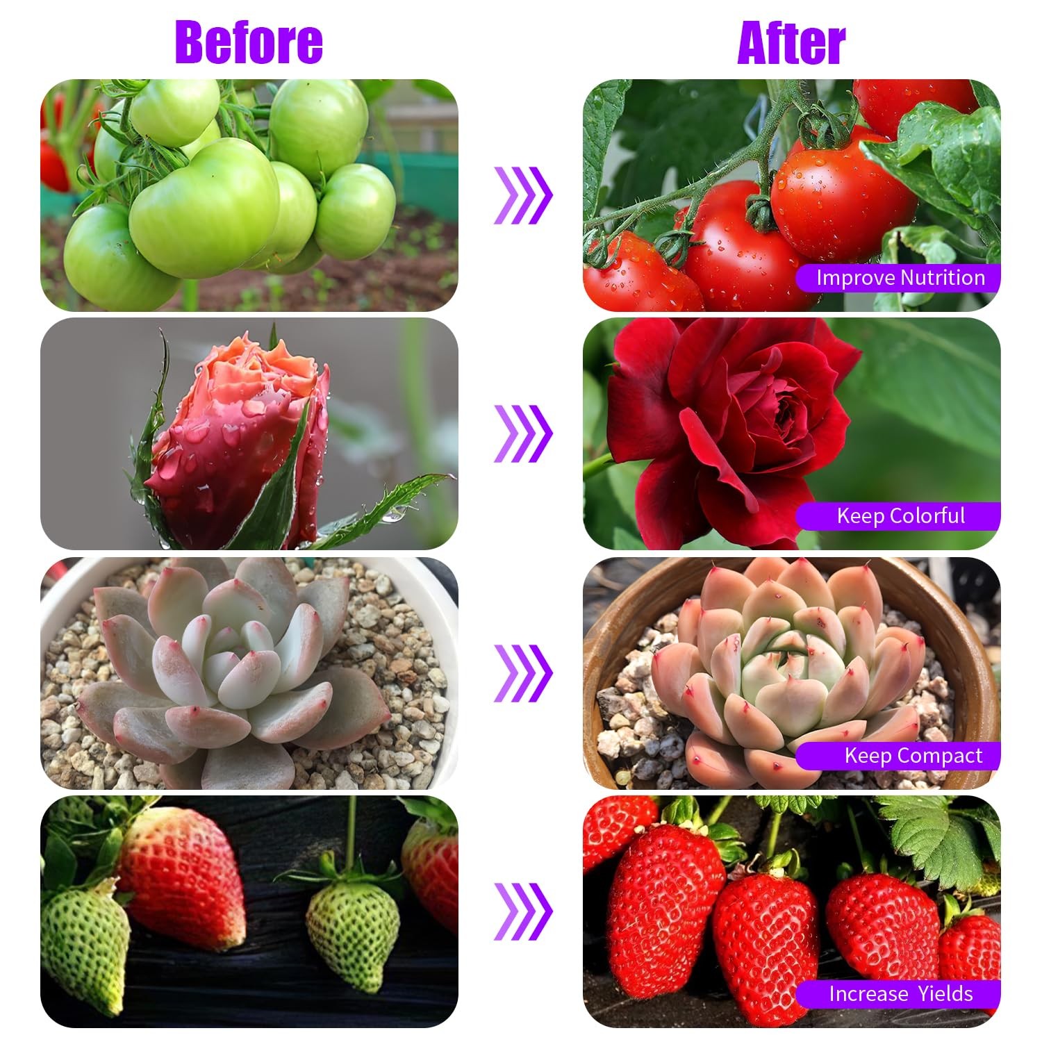 Grow Lights Upgrade 168 LEDs Clip Plant Lights for Indoor Plants, Full Spectr…