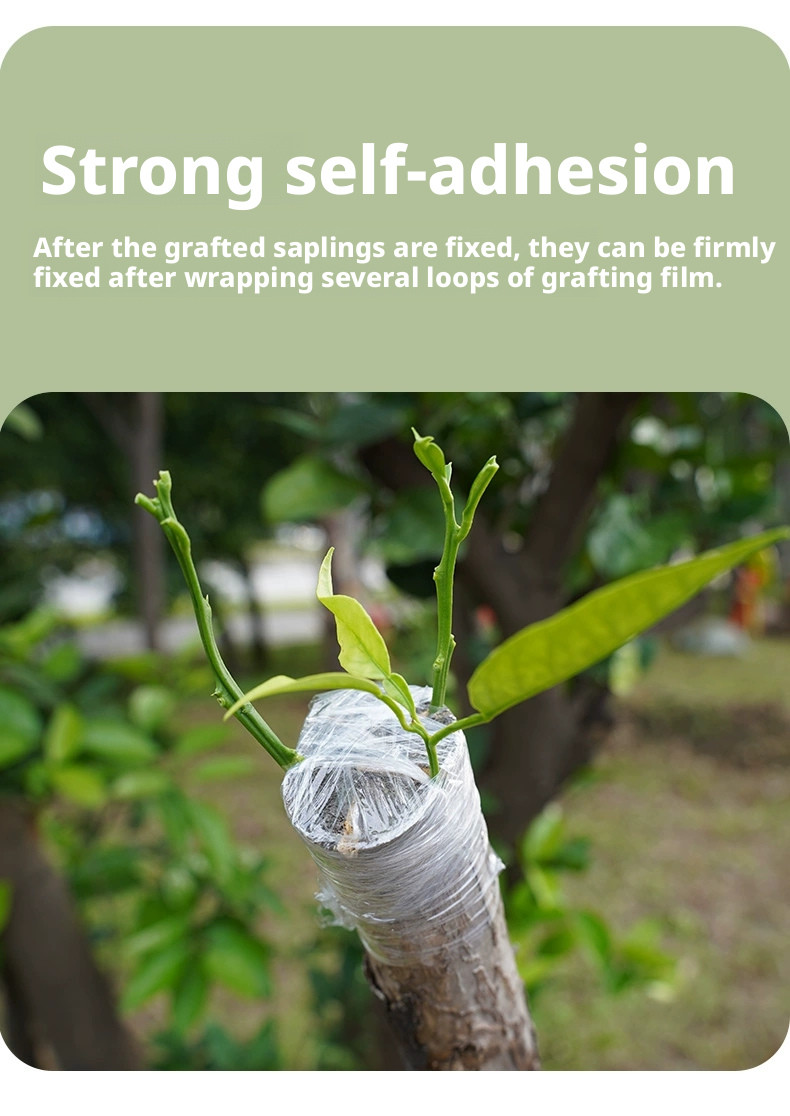 2cm Biodegradable Grafting Tape Plant Bind Belt Gardening Graft Film Eco-Friendl