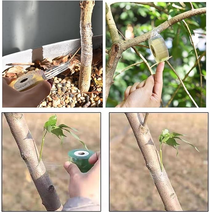 3 Rolls Grafting Tape Stretchable Garden Plants Repair Tape for Fruits Tree