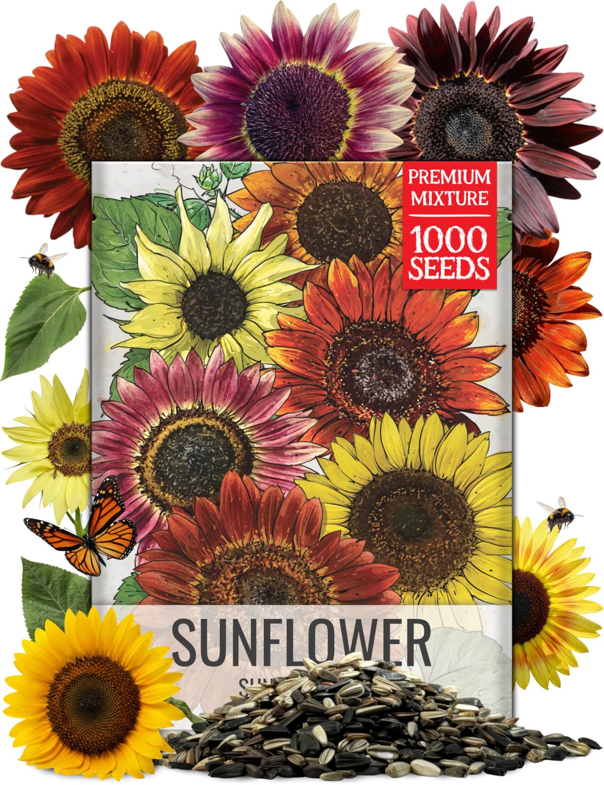 Seed Needs Sunflower Seeds to Plant Sunset Blend 1000 Medium Pack, Mixed