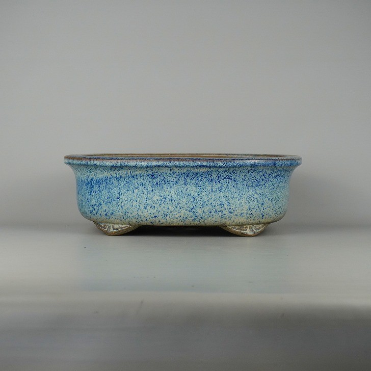 Japanese Bonsai Pot Tokoname SHUHO 13.8″(35cm) Blue Glazed Oval