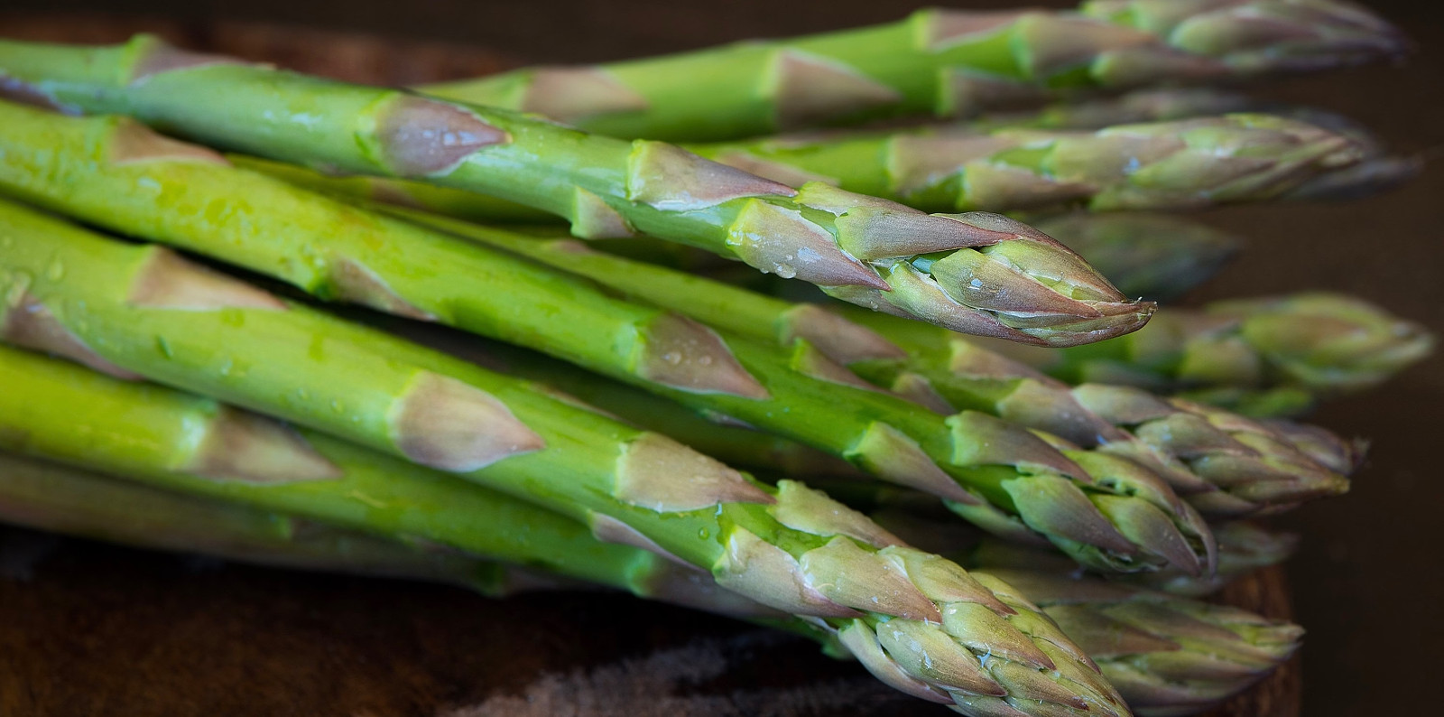 Asparagus Seeds, UC 157 F2, Hybrid, Most Popular Planting Asparagus, FREE SHIP