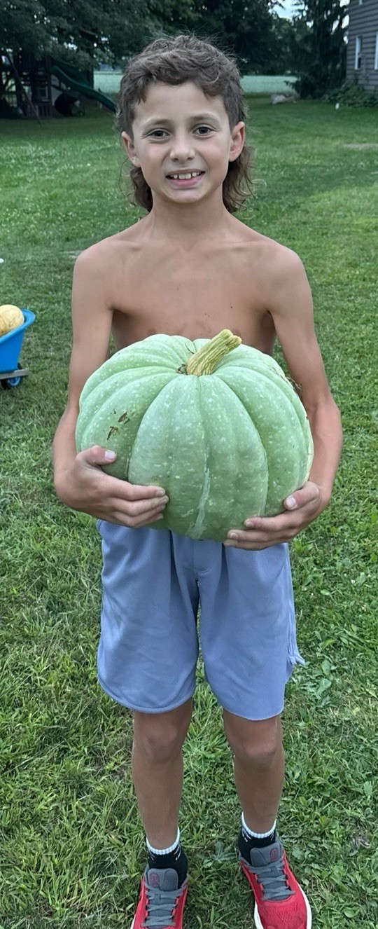 Seeds #30: large Green, orange, white, green, cream pumpkin, stripes (10ct).