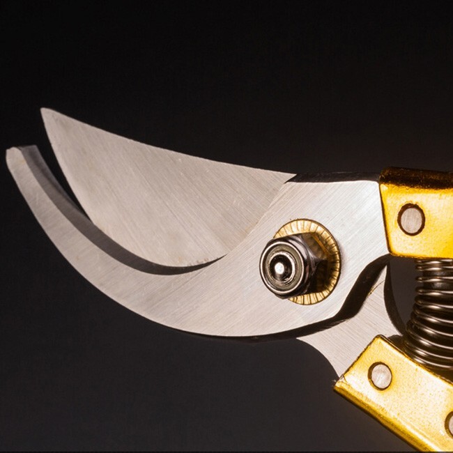 High Carbon Steel Golden Handle Garden Pruning Scissors