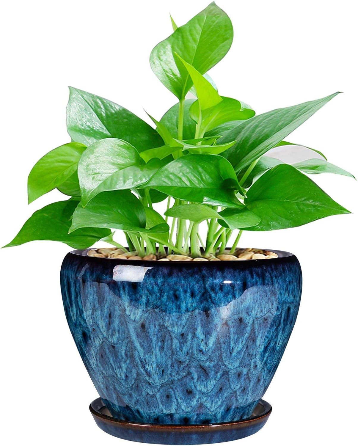 Ceramic Modern Glaze Succulent Planter Pot with Drainage Hole and Saucer 6 Inch
