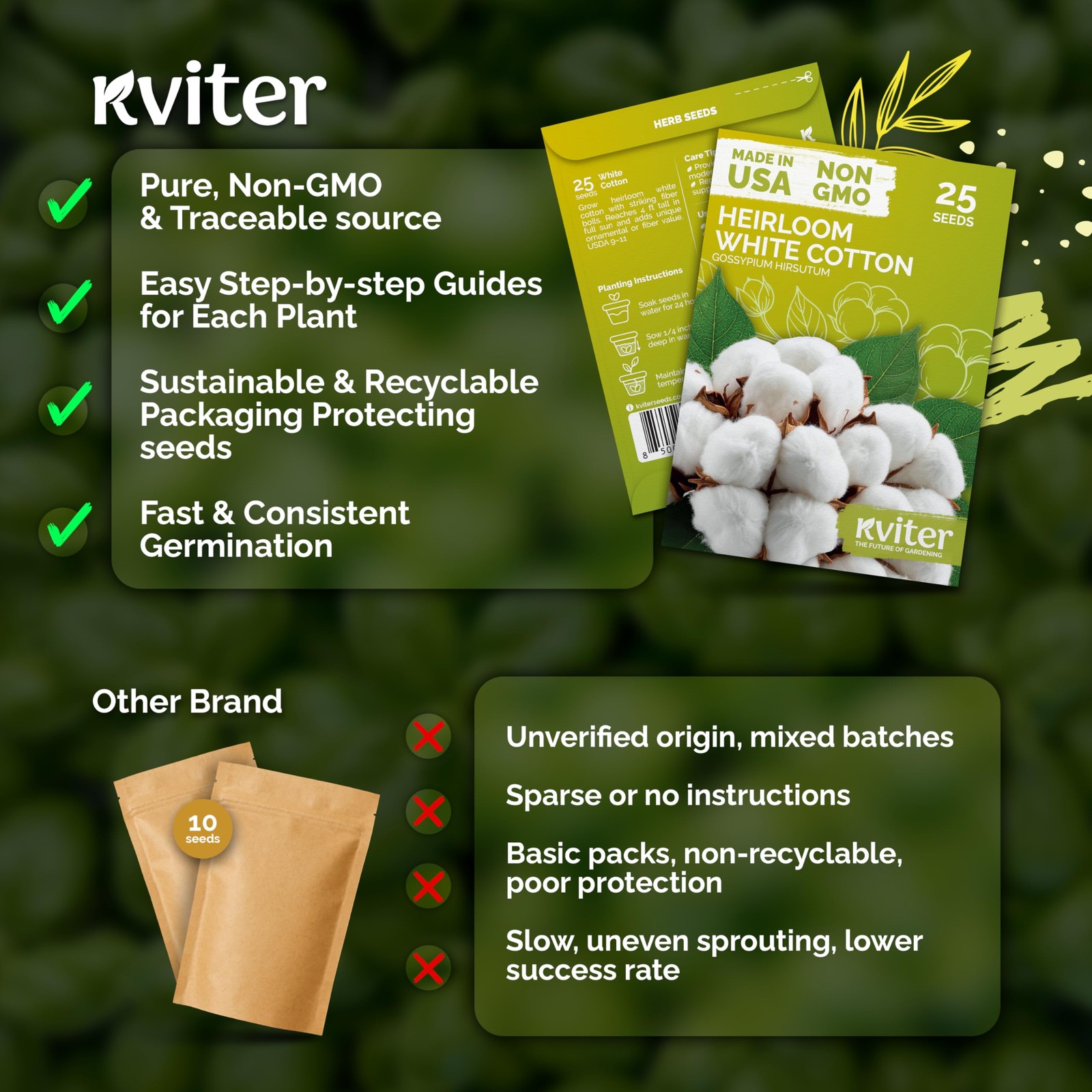 KVITER 25 White Cotton Seeds for Planting (Gossypium hirsutum) – Real