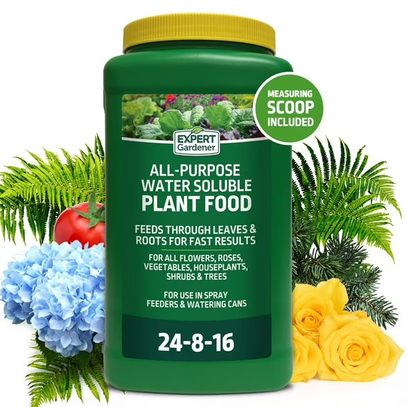 All-Purpose Water Soluble Plant Food, 24-8-16 5 Pounds