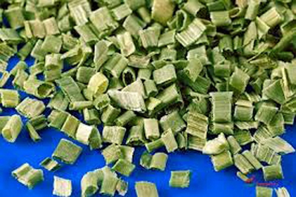 Chive Seeds, Herb, Heirloom, Non GMO, 500 Seeds, Great Fresh or Dried Herb